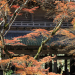 永源寺の紅葉、見頃