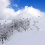 2019年1月武奈ヶ岳登山（雪山）